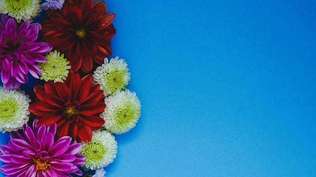 江南的城市外援雷馮特-萊斯有望加盟CBA球隊.