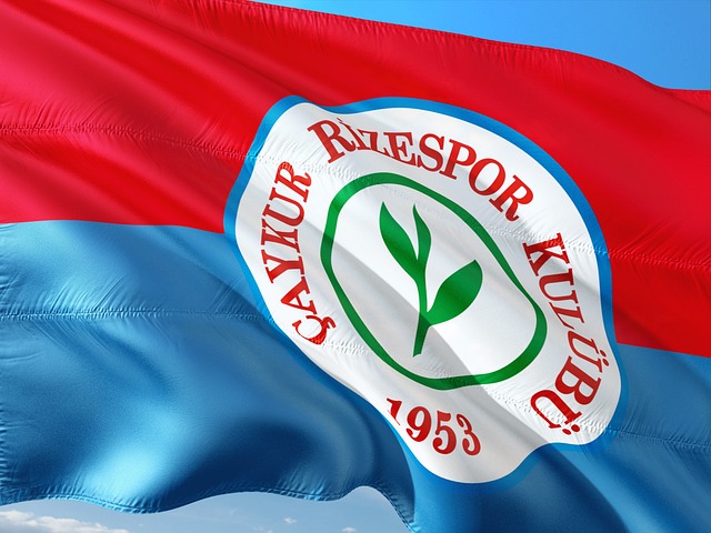 张楚桐：中国短道速滑女队一直在追赶男队 接力金牌来之不易为未来注入信心.