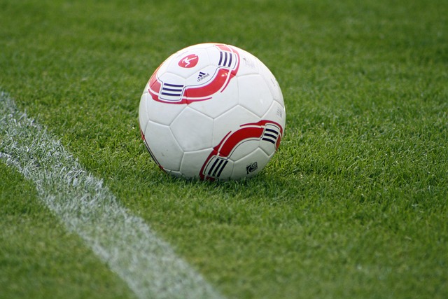 盧認為萊昂納德和詹姆斯的職業精神如出一轍 兩人的投籃都是通過硬實力鍛煉出的.