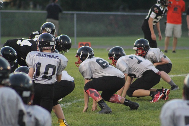 足球報：大連人能否遞補中超非中國足協單方面說的算.